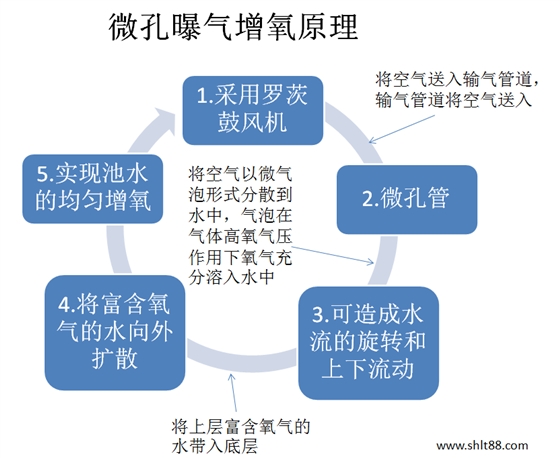 微孔曝气增氧原理