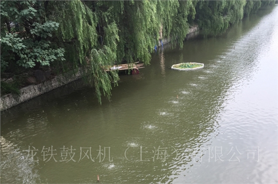 景观水处理河道.jpg