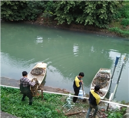 河道治理曝气工程