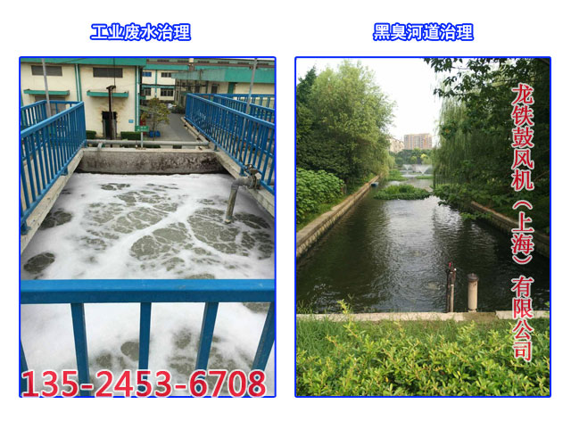 污水处理鼓风机