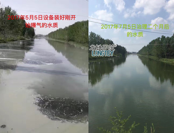 沉水风机治理前后对比图