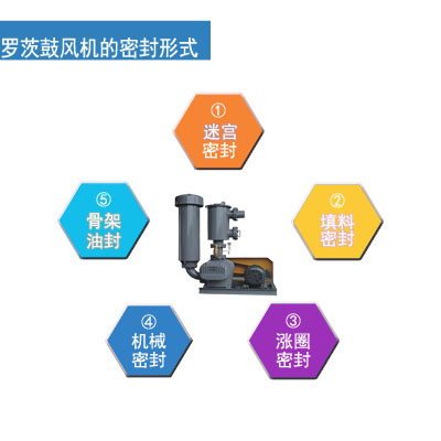 罗茨鼓风机密封形式 3.16.jpg