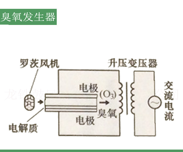 臭氧发生器罗茨风机.jpg