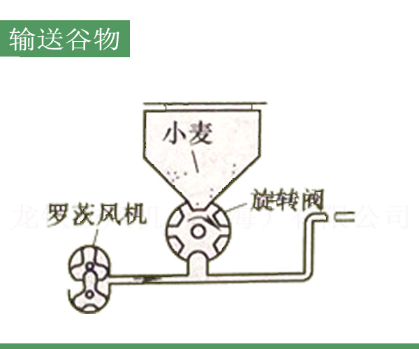 输送谷物罗茨鼓风机.jpg