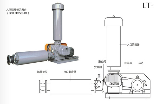 罗茨鼓风机结构简图5.4.jpg