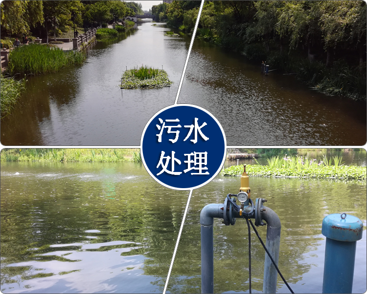 河道水治理案例图.png