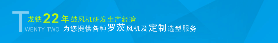 龙铁22年鼓风机研发生产经验